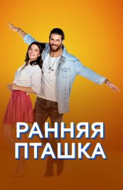 Ранняя пташка бесплатно